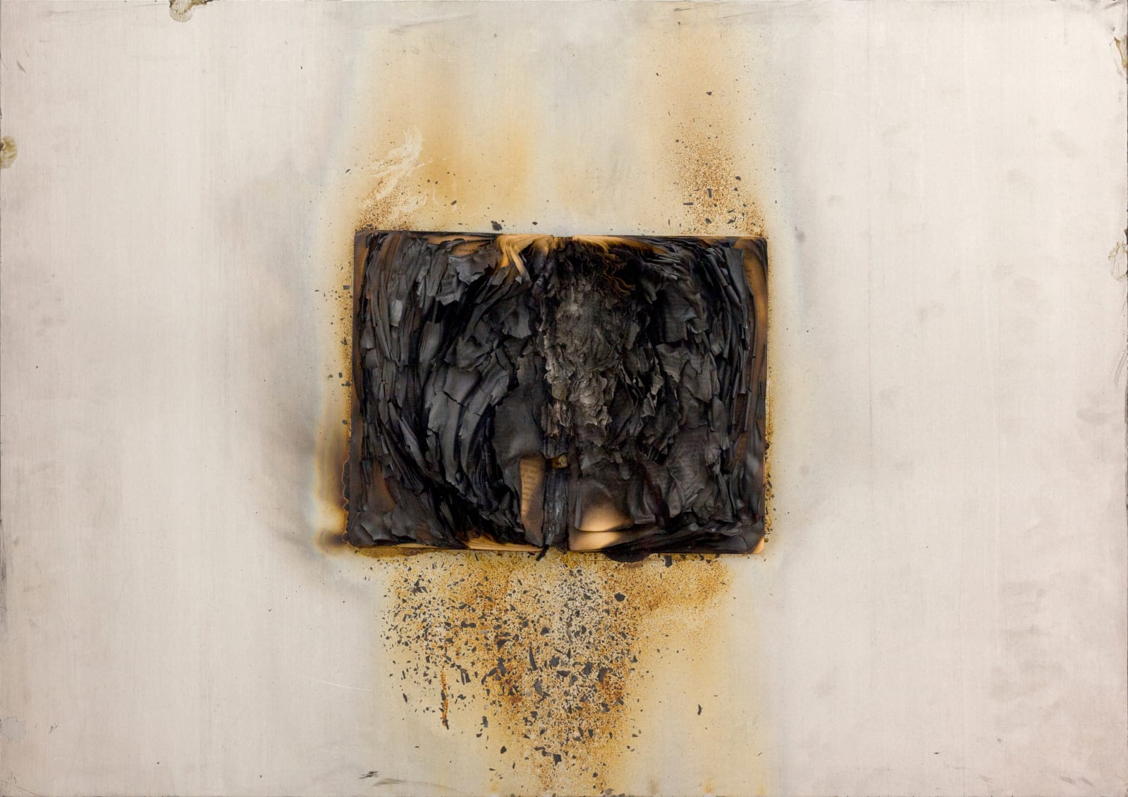 Bernard Aubertin, Livre brulé, 1974