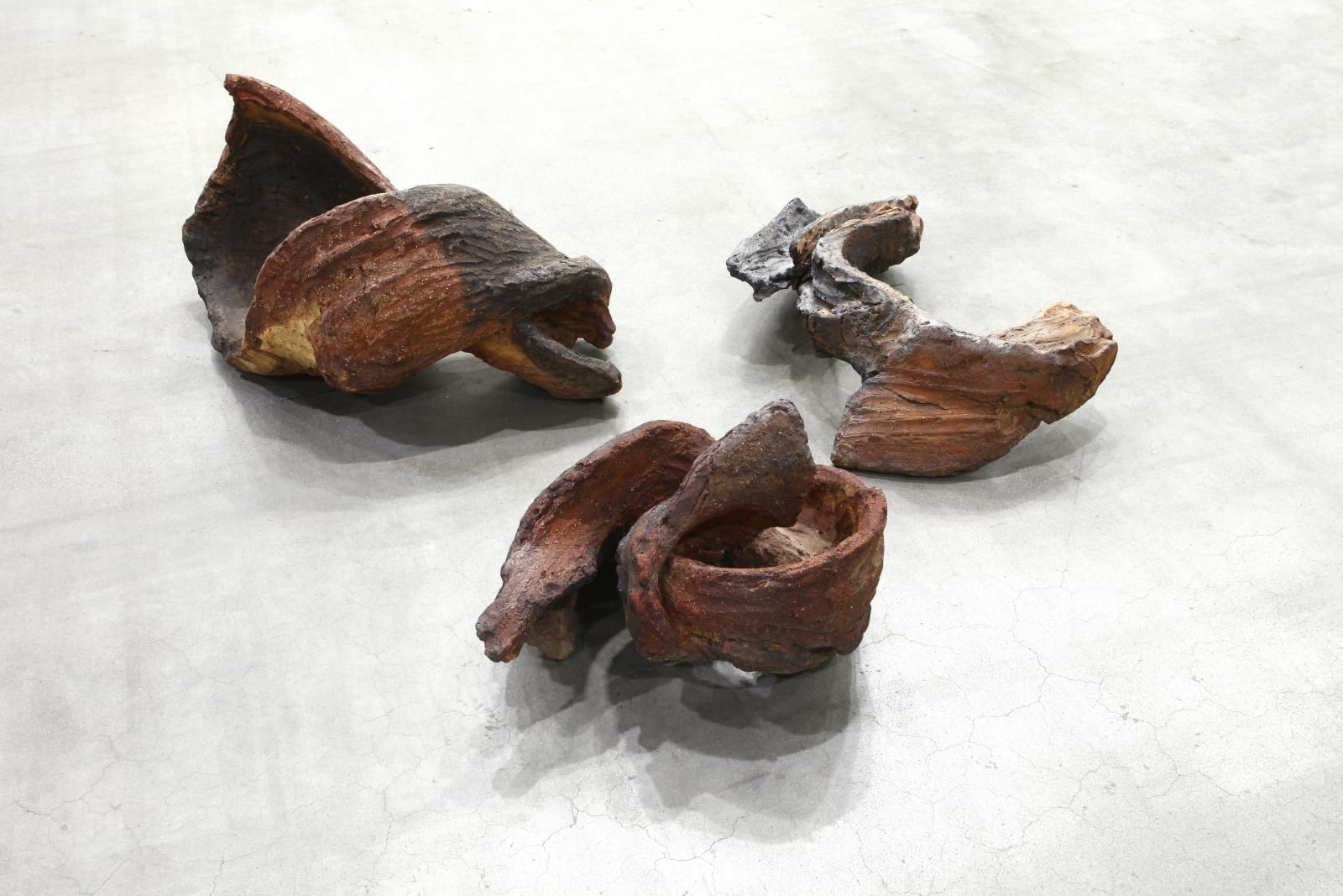 Nanni Valentini, Deriva (Spirale, Nodo, Tangente), 1982-83