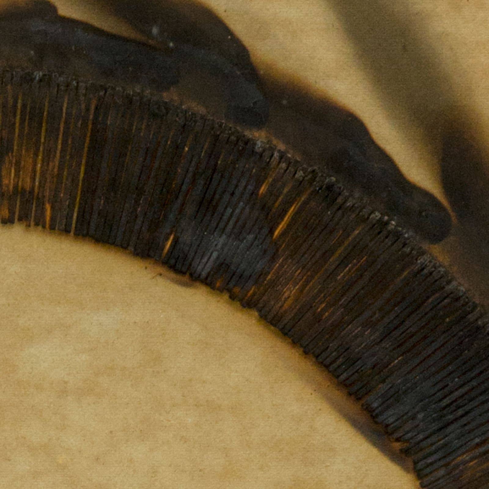 Bernard Aubertin, Dessin de feu circulaire, 1973