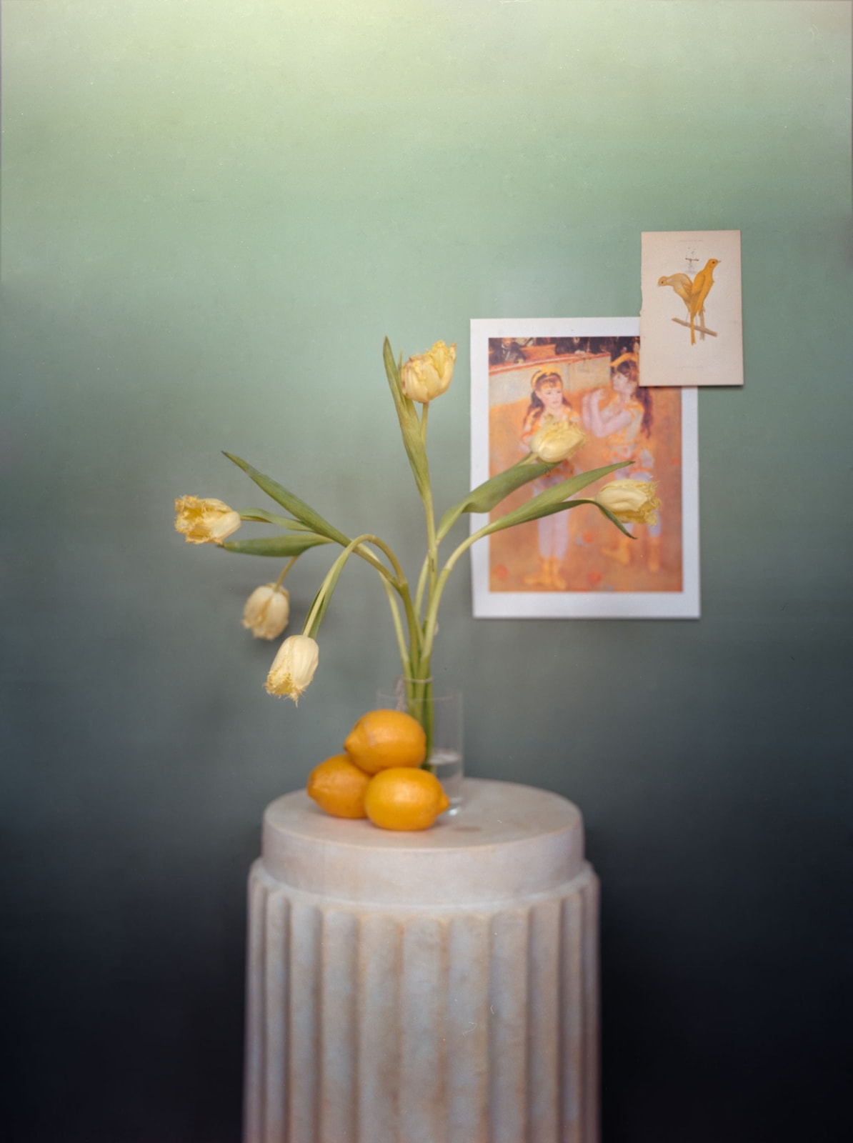 Matthew Morrocco, Flower Portrait 29, 2024