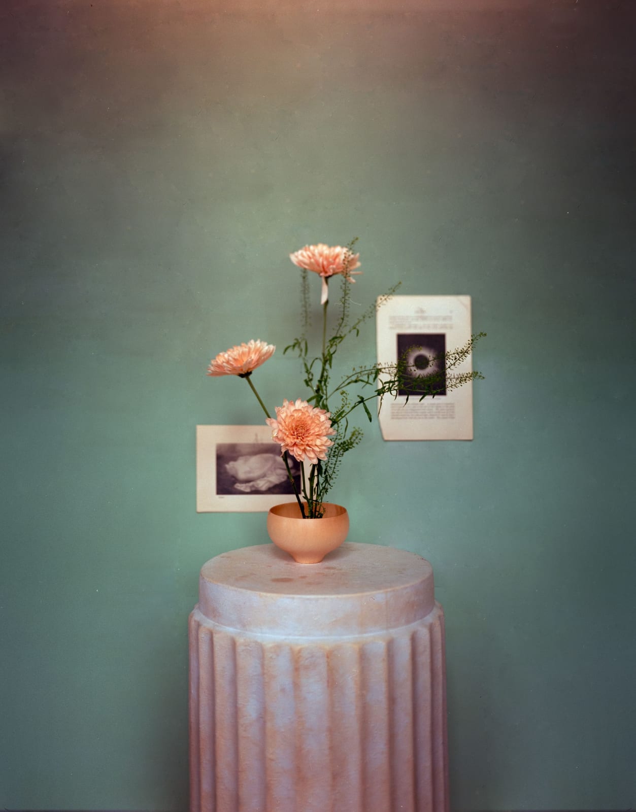 Matthew Morrocco, Flower Portrait 30, 2024