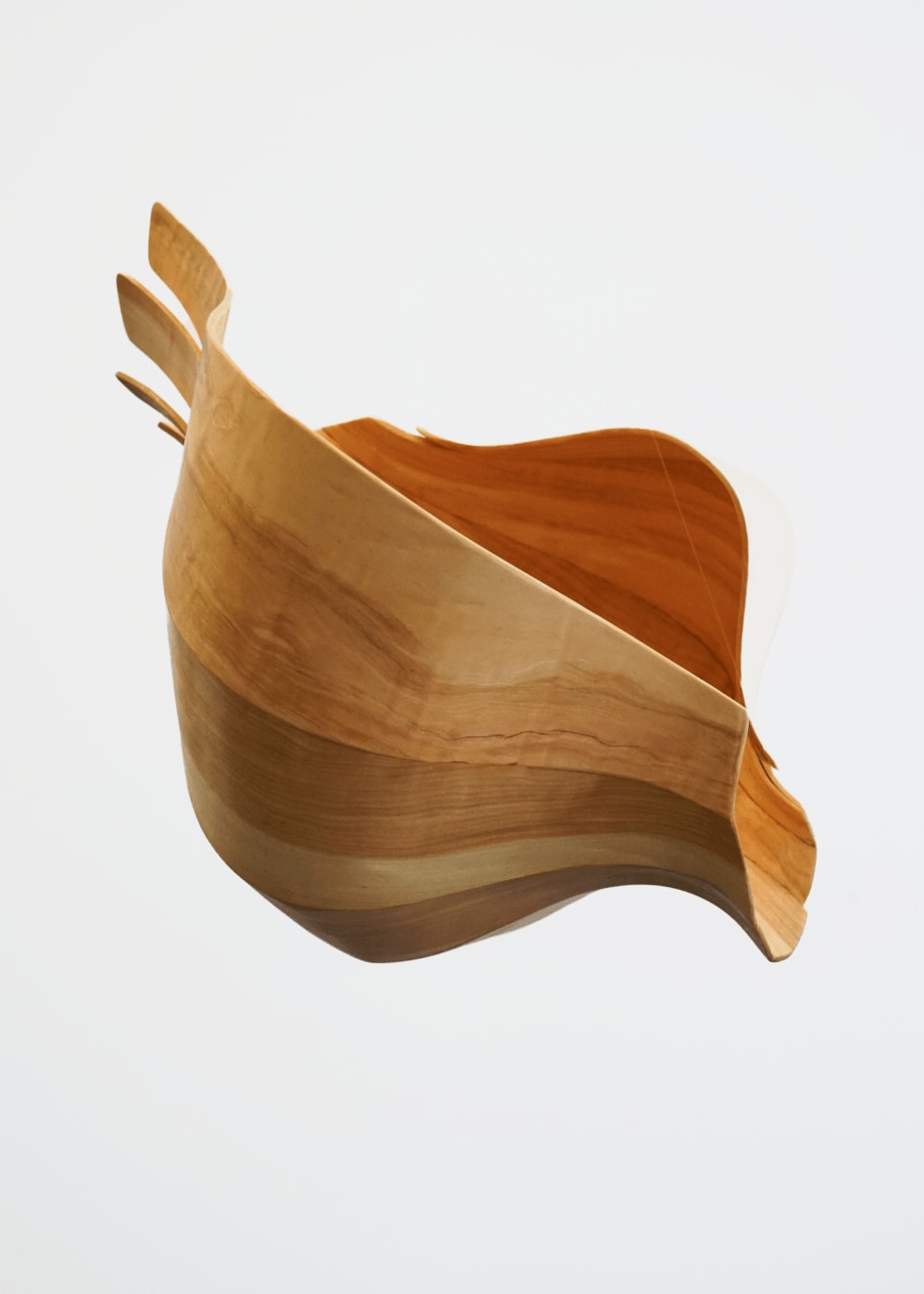 Alison Croney Moses, Flame Birch Shell Small, 2023