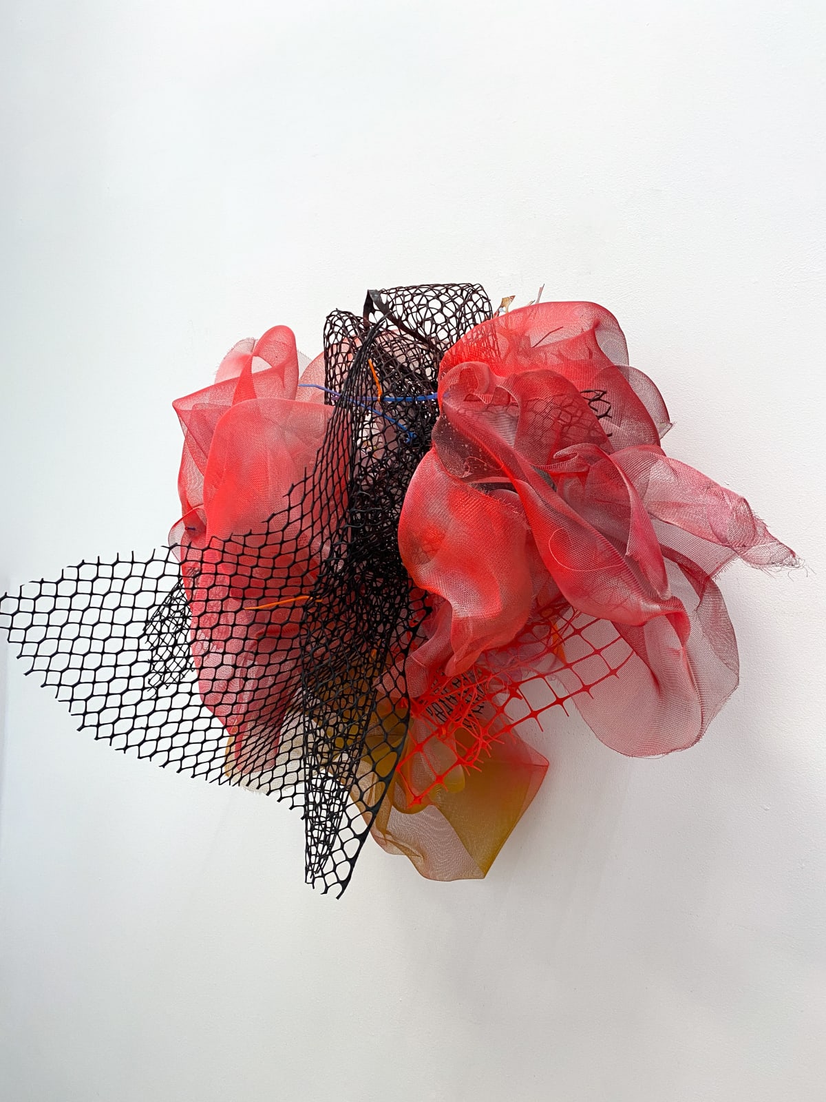 Cicely Carew, A House of Love with No Limits, 2024
