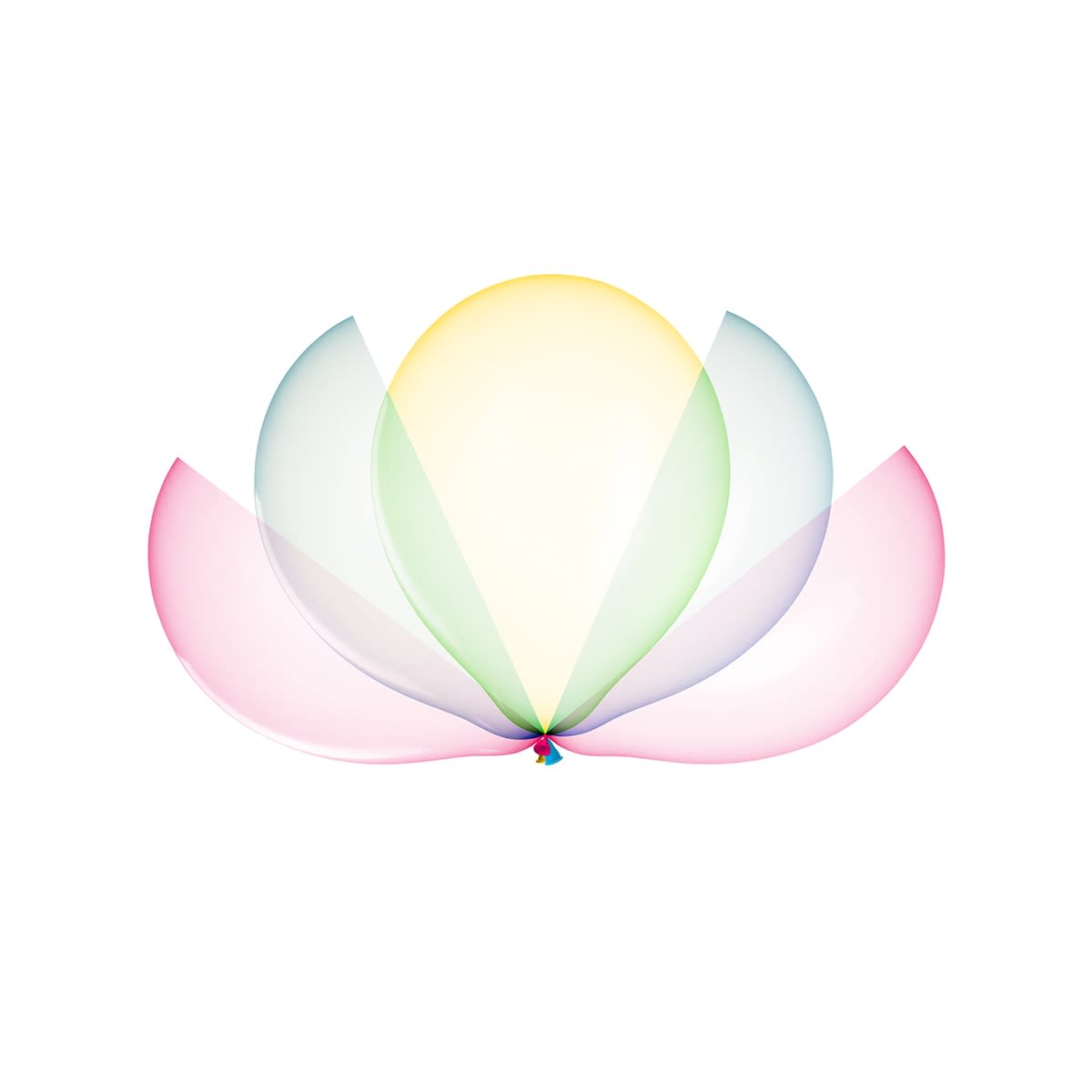 Cassandra C. Jones, Balloon Bloom, 2023