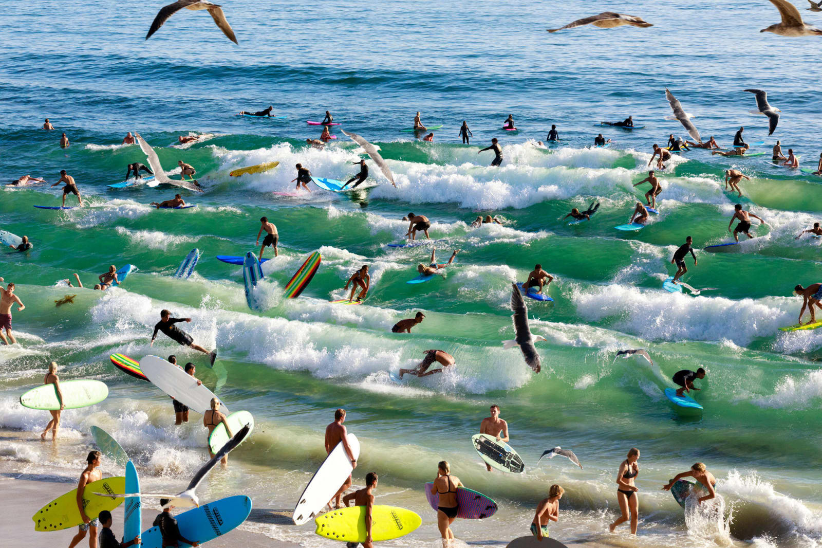 Pelle Cass, Thalia Street Beach, Wednesday, 2019