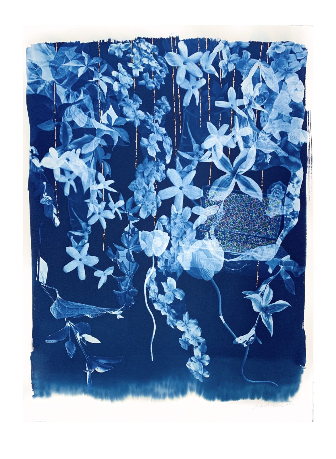 Susan Murie, Voyage 10, 2021