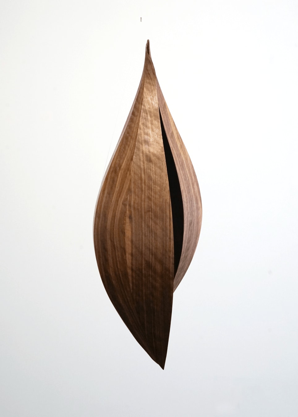 Alison Croney Moses, Walnut Shell Two, 2023