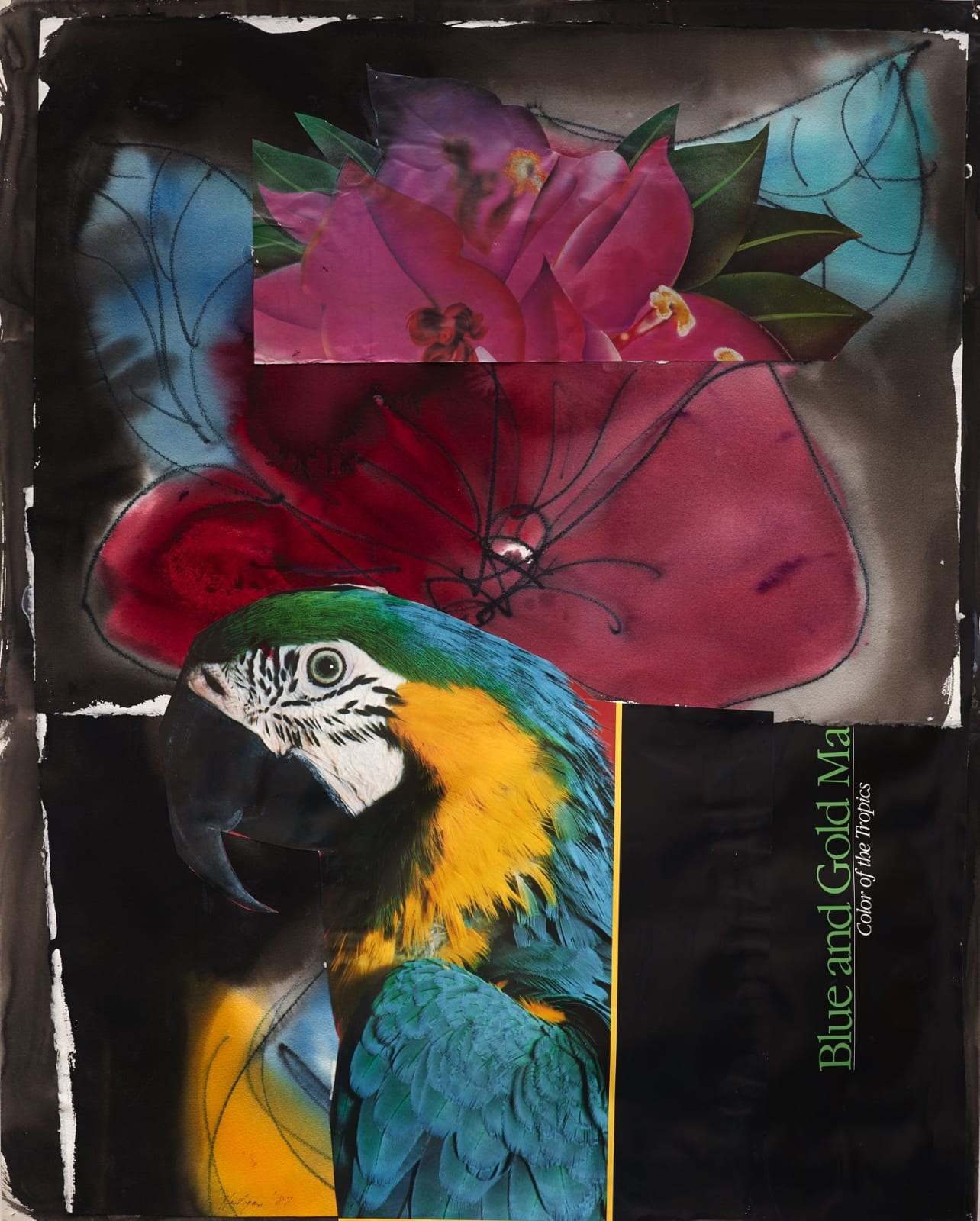 Grace Hartigan, Fischer Island, 1987