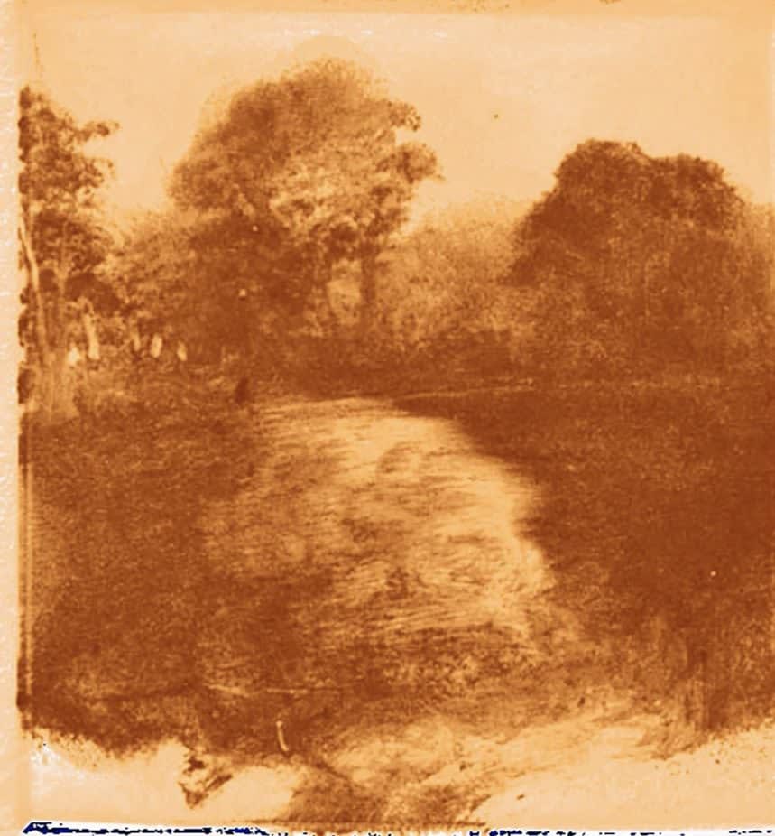 Wendy Mark, WM Trees, 2019