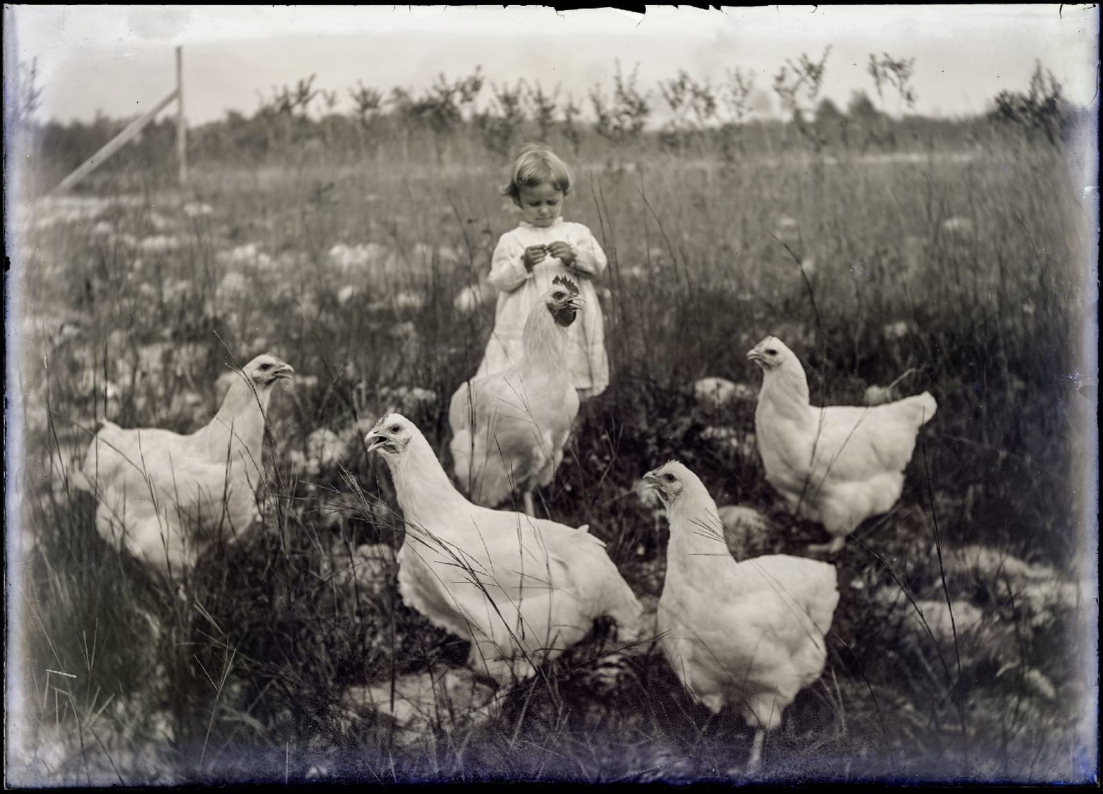 Hugh Mangum, Untitled 12, 2021