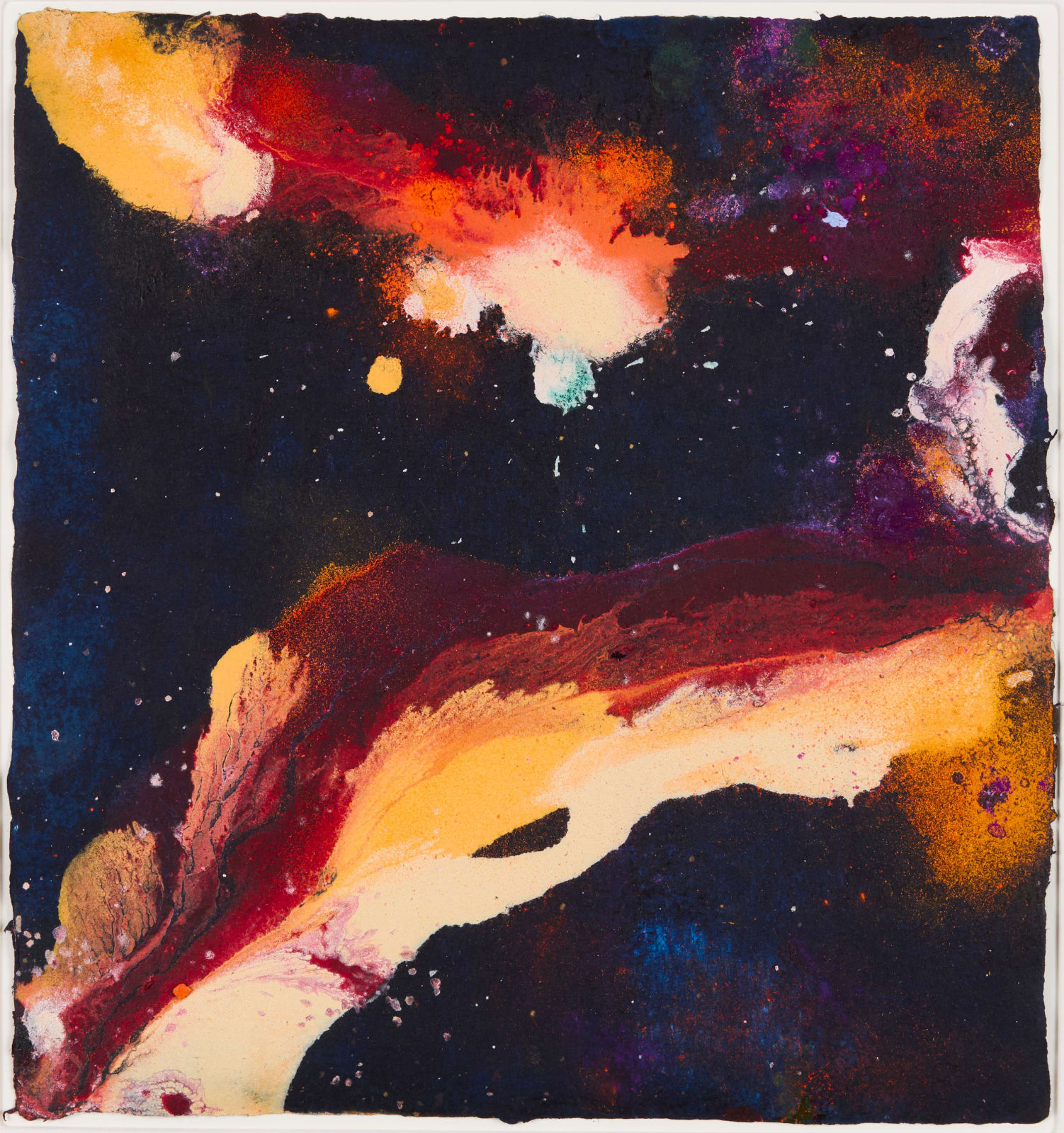 Nocturnal Light Pipitea