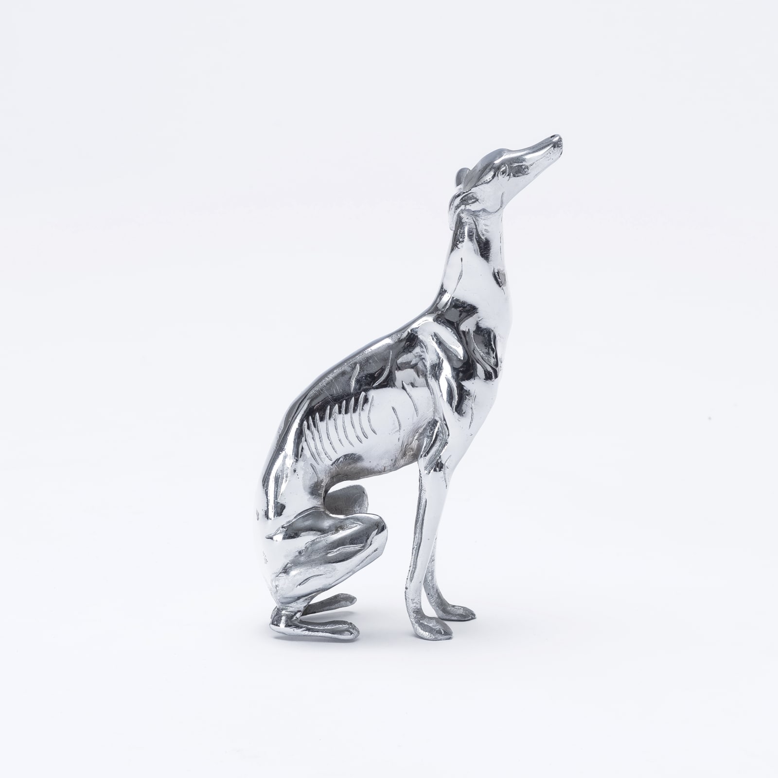 Greyhound,