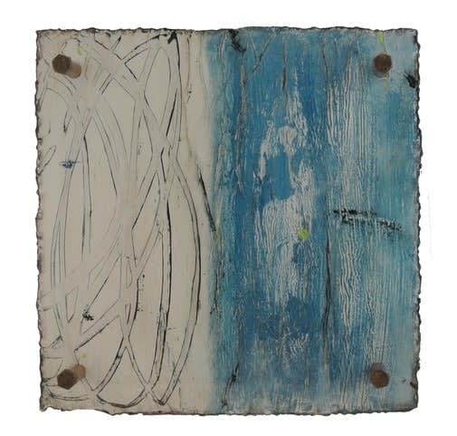 Michelle Y Williams, cut26-47