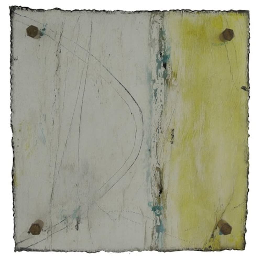 Michelle Y Williams, cut24-225