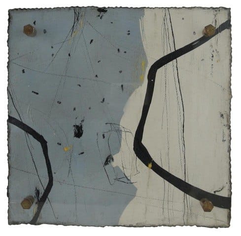 Michelle Y Williams, cut24-911