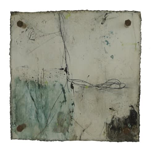 Michelle Y Williams, cut26-43