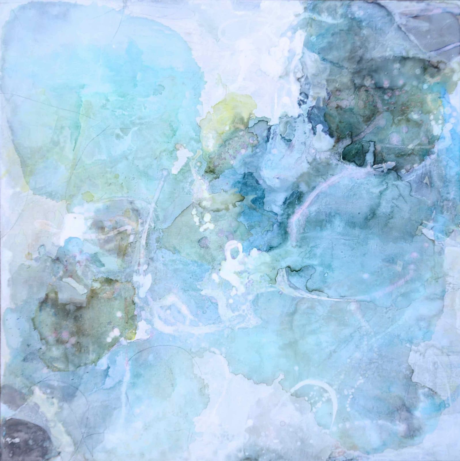 Liz Barber, Spring 7