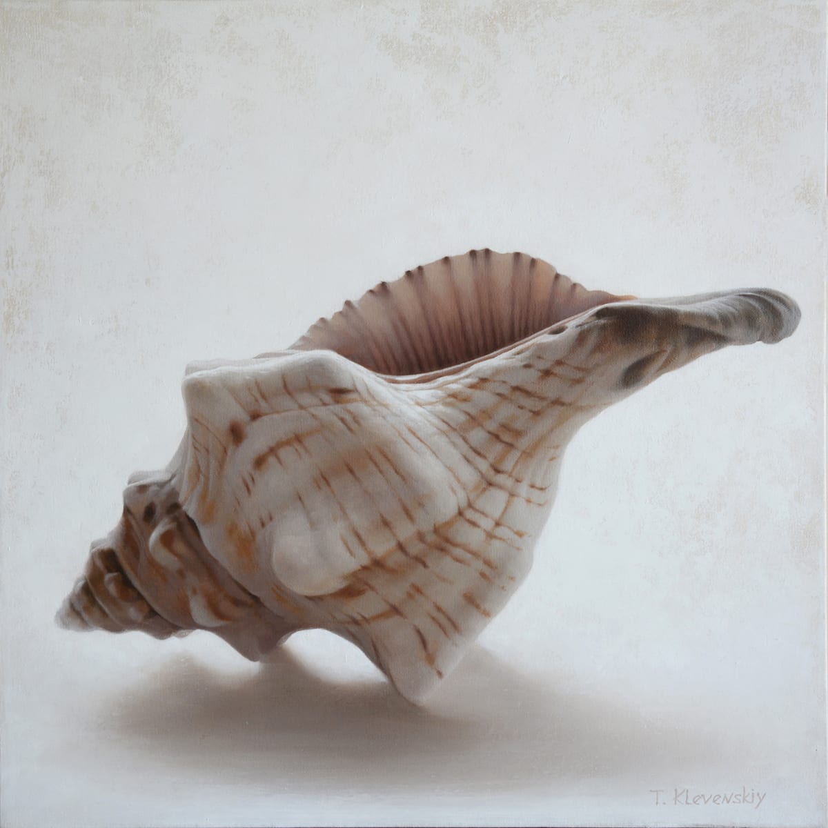 Tatyana Klevenskiy, Shell