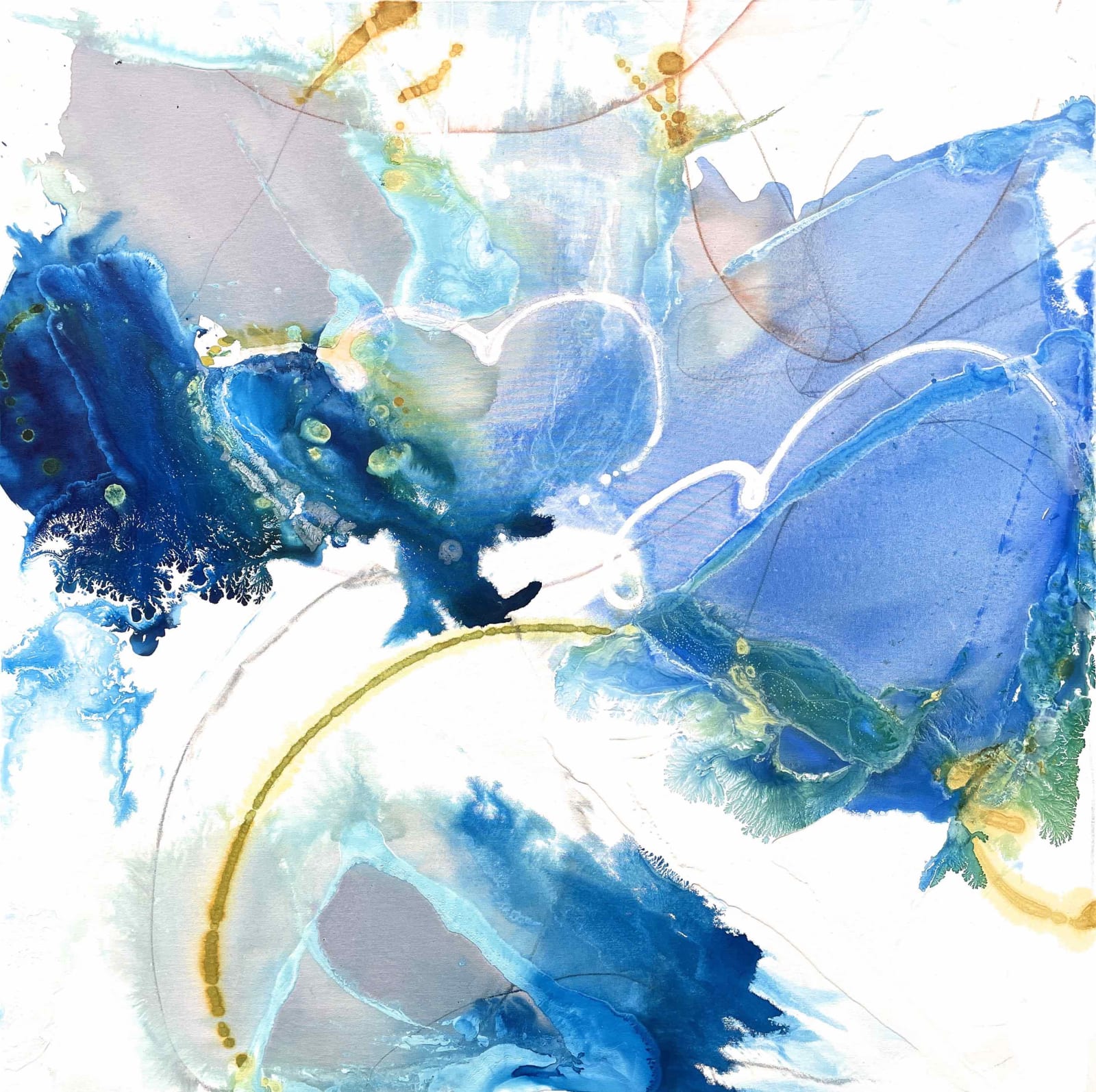 Liz Barber, Blue Crocus 2