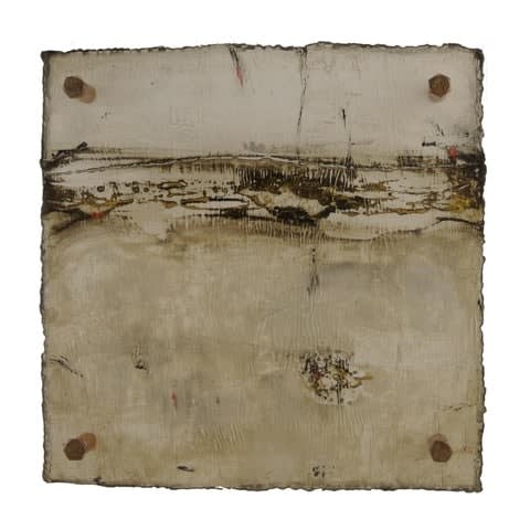 Michelle Y Williams, cut25-490