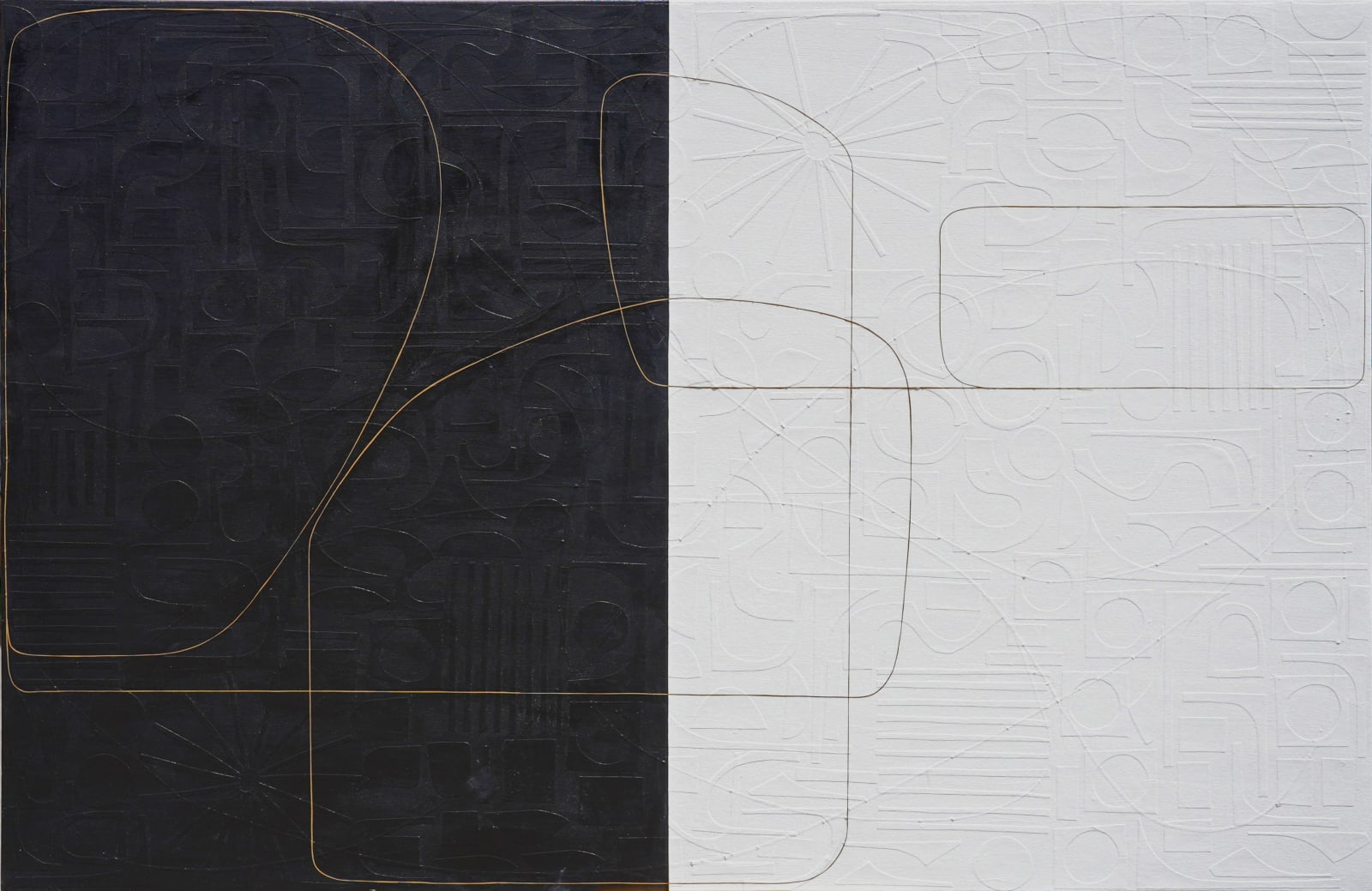 Maura Segal, Night Bloom