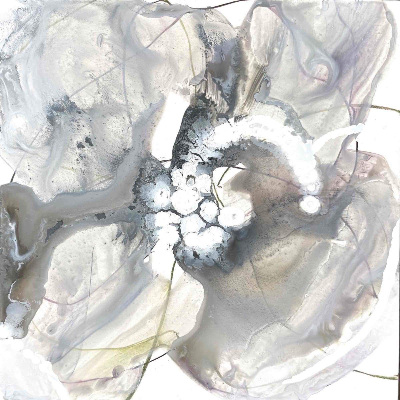 Liz Barber, Buttercup 6