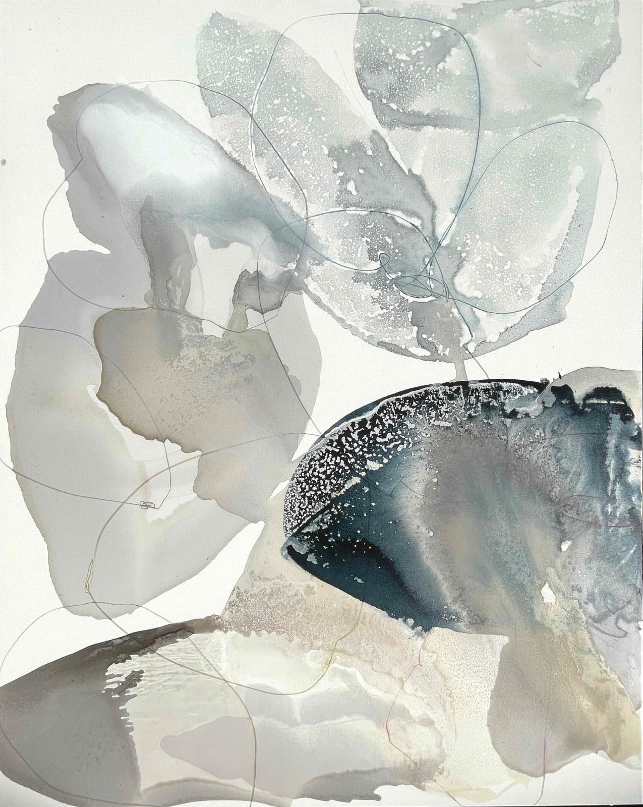 Liz Barber, Shadow Flower 1