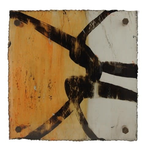 Michelle Y Williams, cut26-41