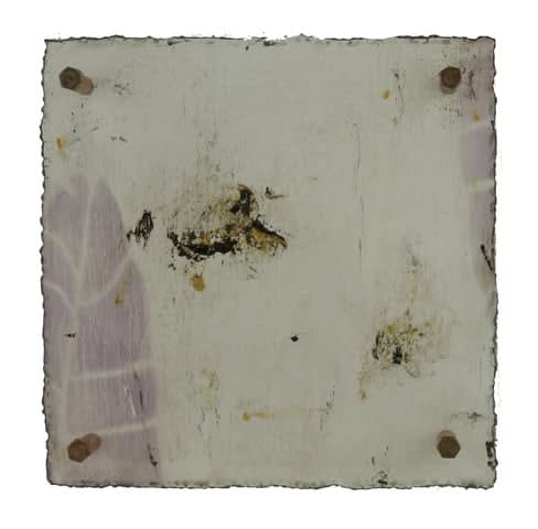 Michelle Y Williams, cut25-497