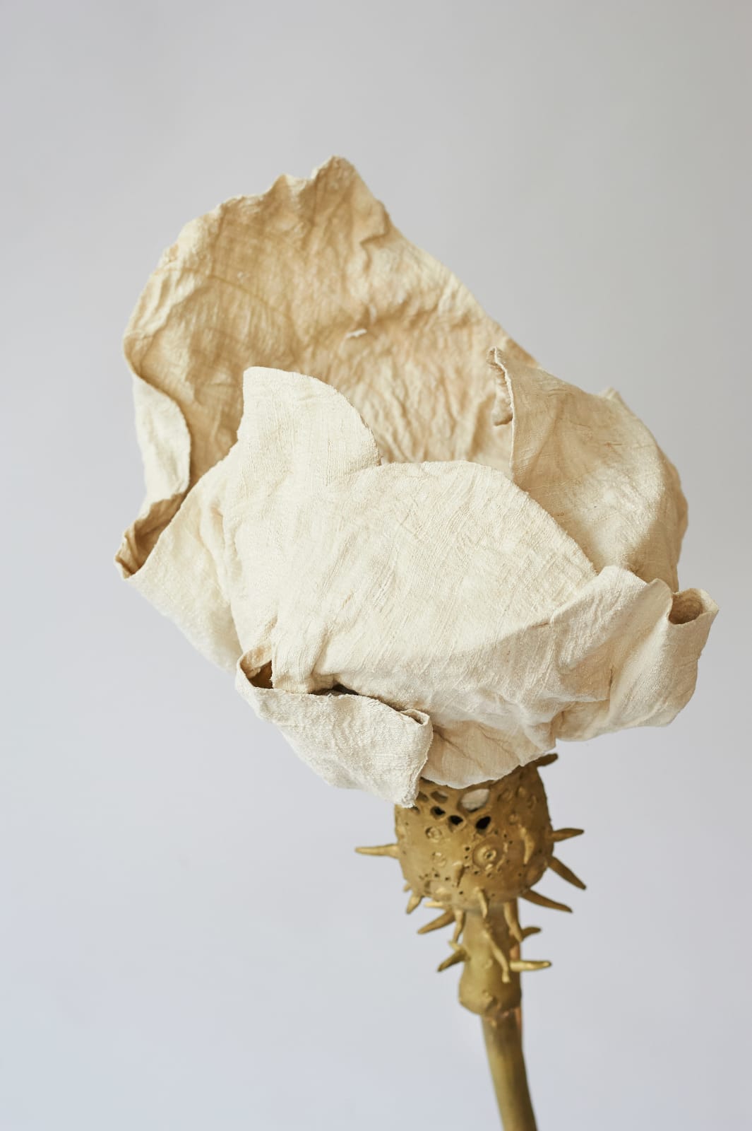 Marina Blanca, #81/#126, 2022