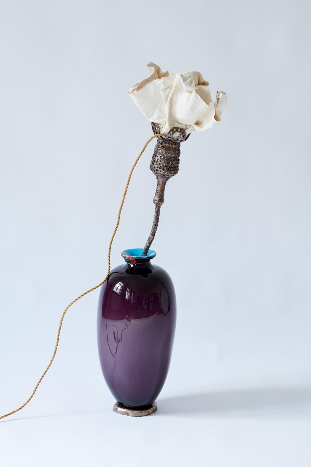 Ela Angerer photography