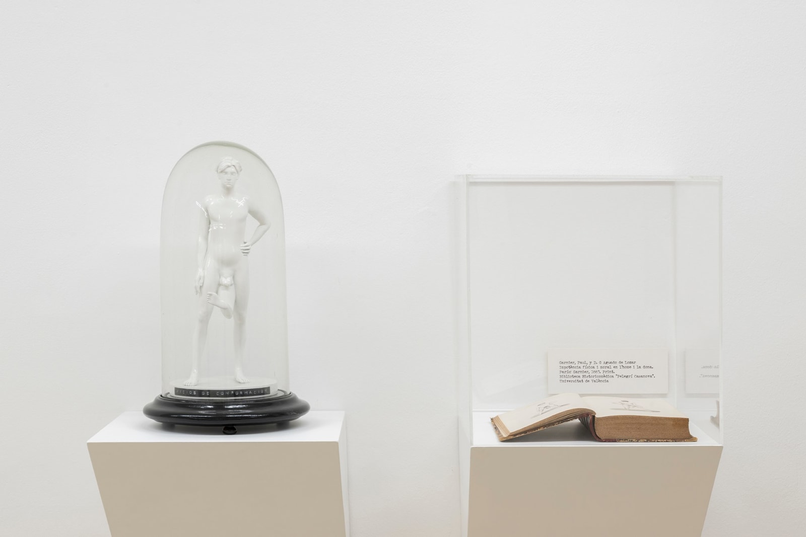 Daniel Gasol, Eugenesia. Vicios de conformación, 2024 - 2025