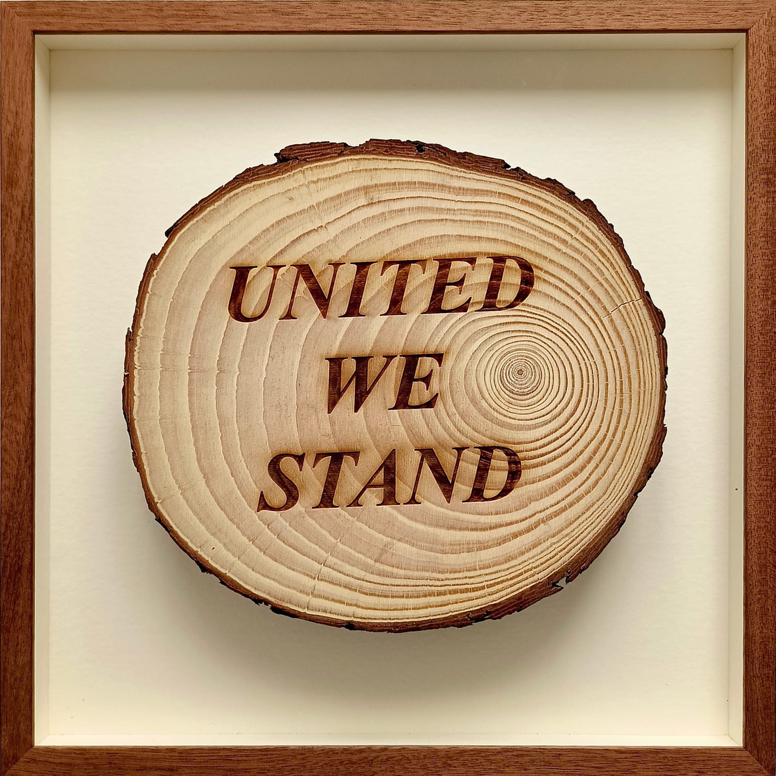 Avelino Sala, Sueño de nadie. United we stand, 2024