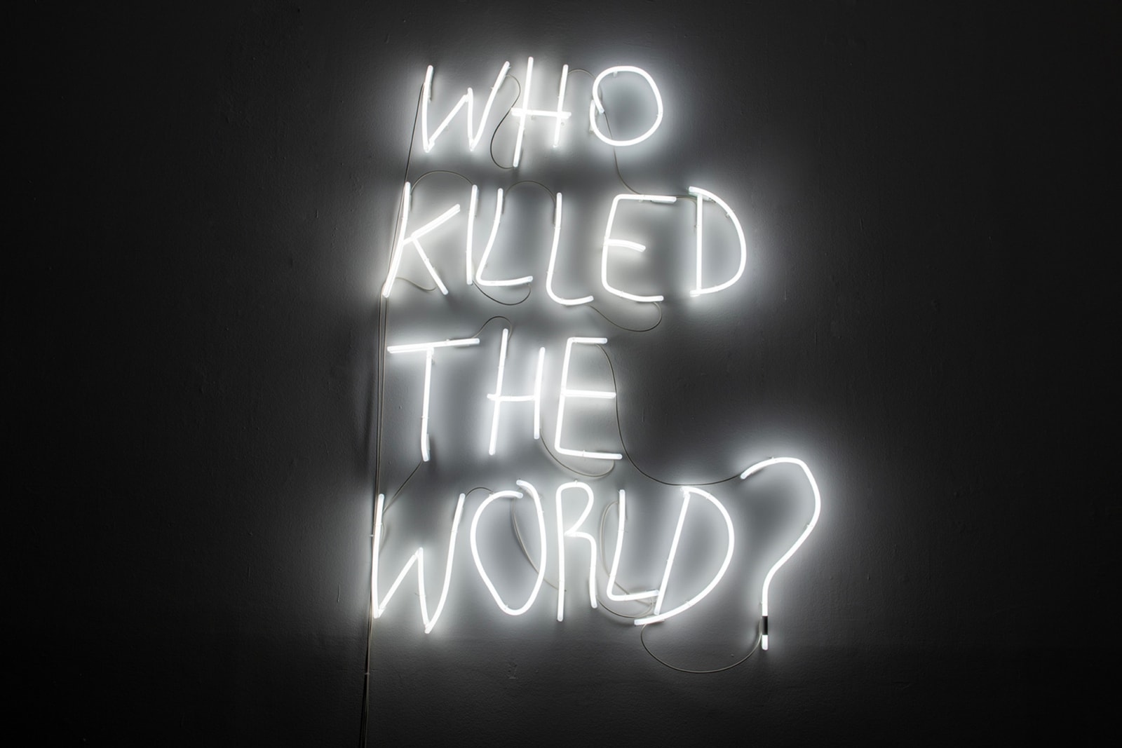 Fábio Colaço, Who killed the world?, 2025