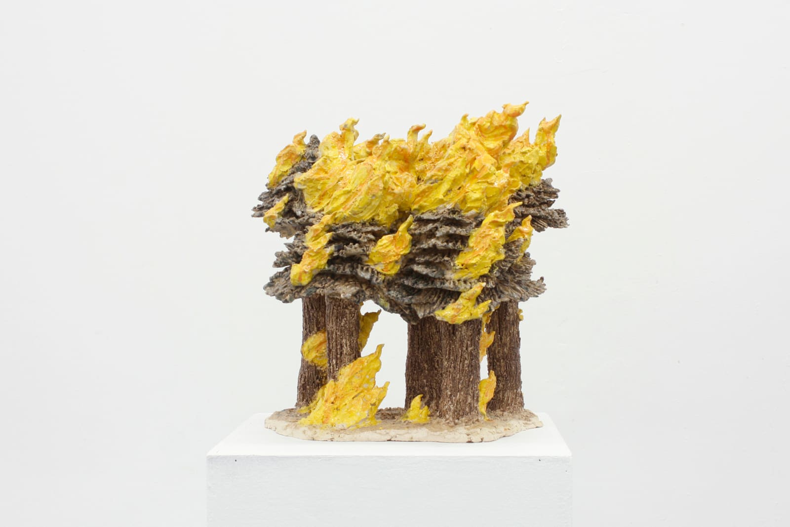 Joan Pallé, Incendio forestal 06, 2023