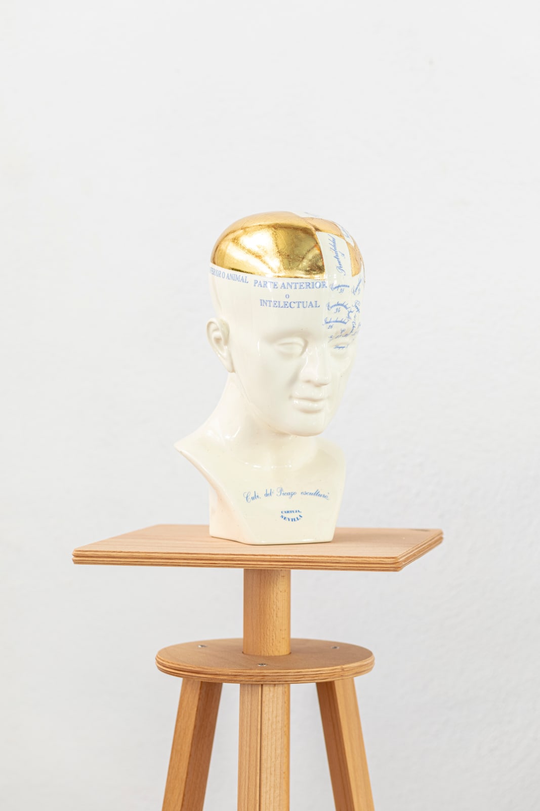 Avelino Sala, L'uomo delinquente, 2025