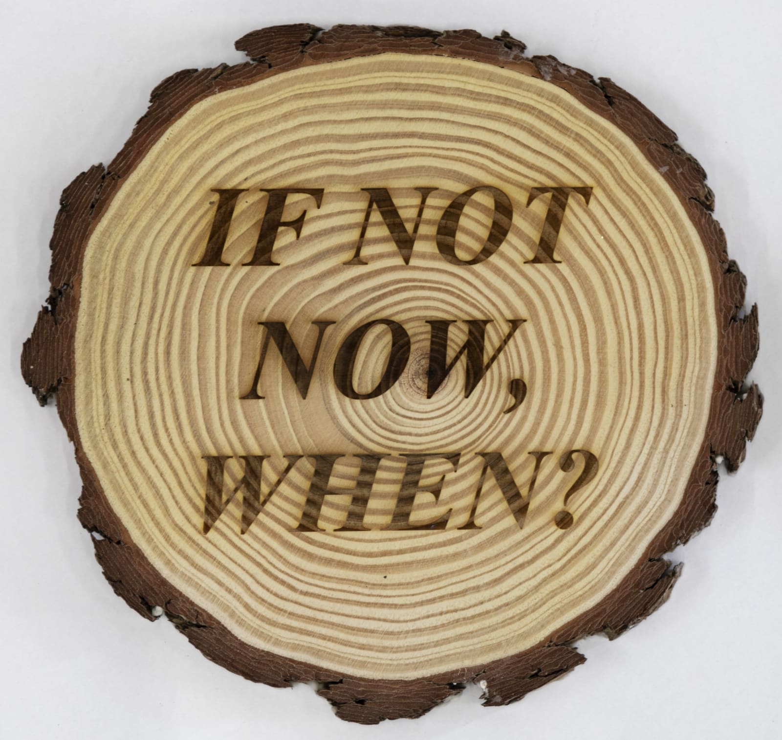 Avelino Sala, Guernica/Fridays for future #1, 2025