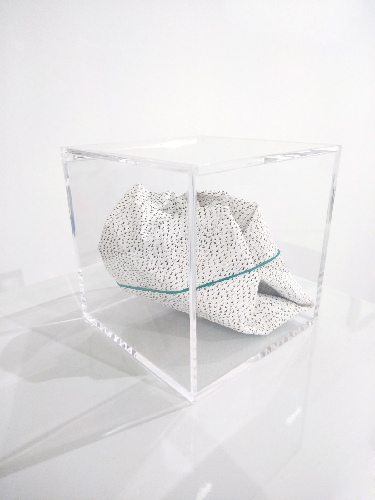 Pep Vidal, Frozen inertness / Inercia congelada, 2019