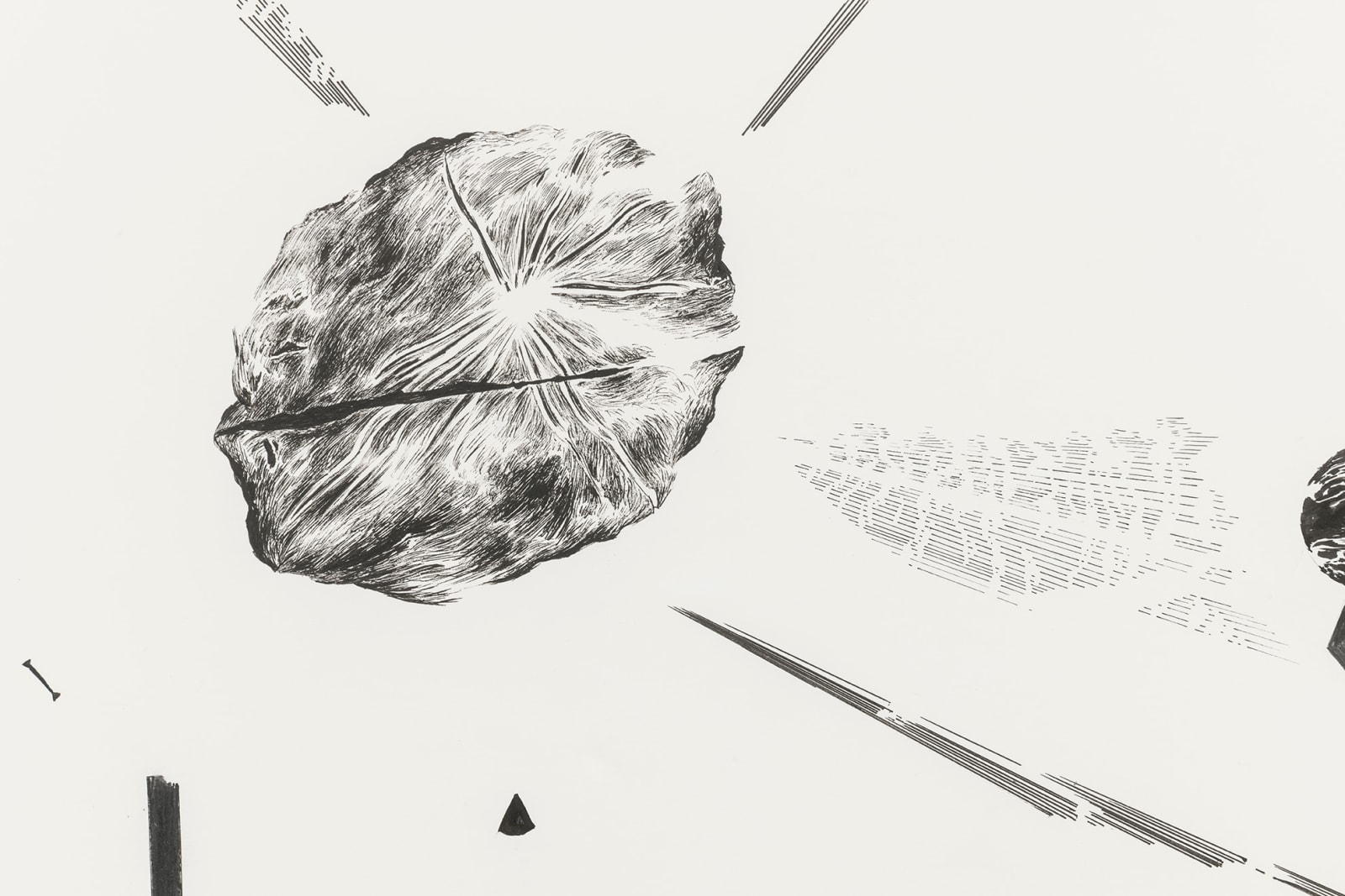 Abdelkader Benchamma, Rayon fossile II, 2020