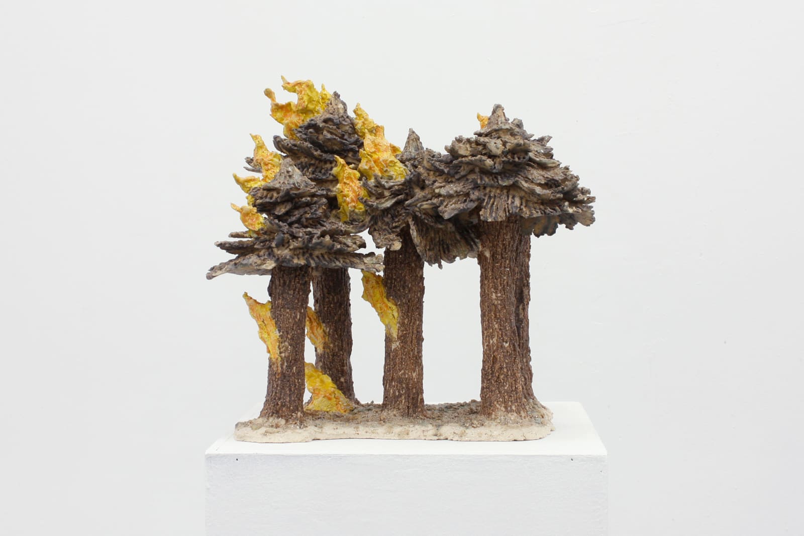 Joan Pallé, Incendio forestal 03, 2023