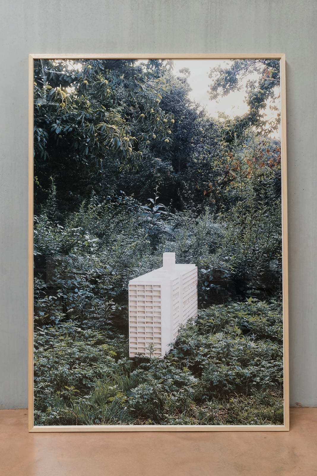 Domènec, Domèstic, 2020