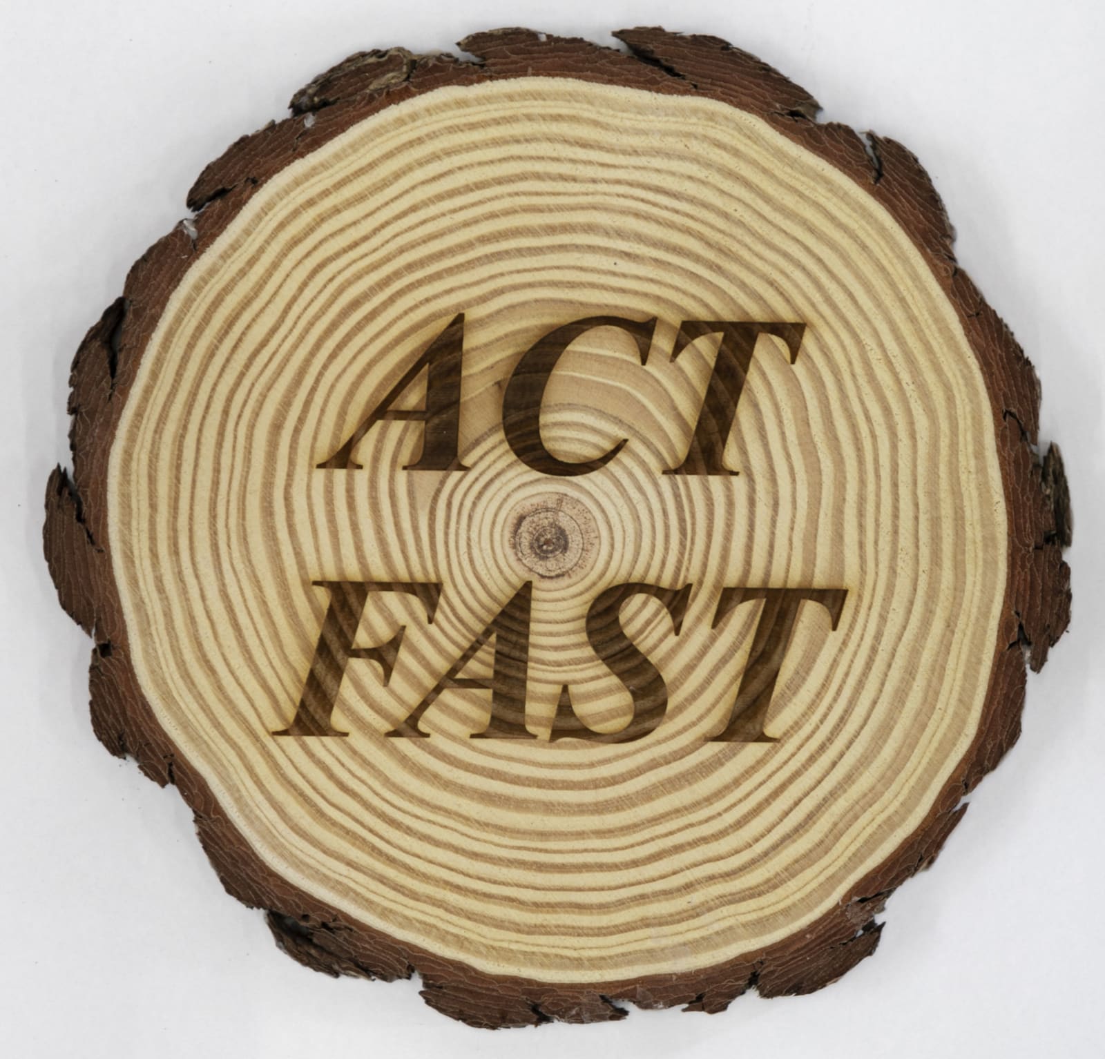 Avelino Sala, Guernica/Fridays for future #2, 2025