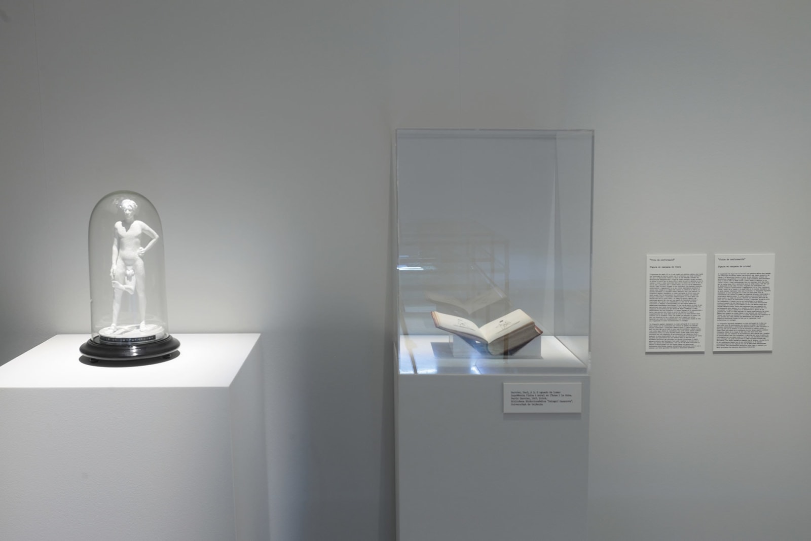 Daniel Gasol, Eugenesia. Vicios de conformación, 2024 - 2025