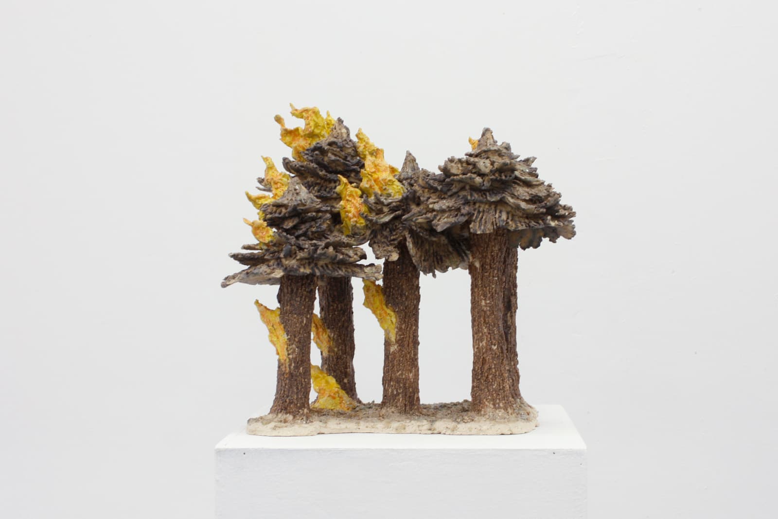 Joan Pallé, Incendio forestal 05, 2023