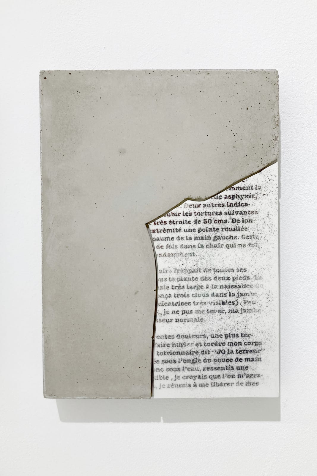 Nicolas Daubanes, Question préparatoire, question préalable, question définitive, 2021