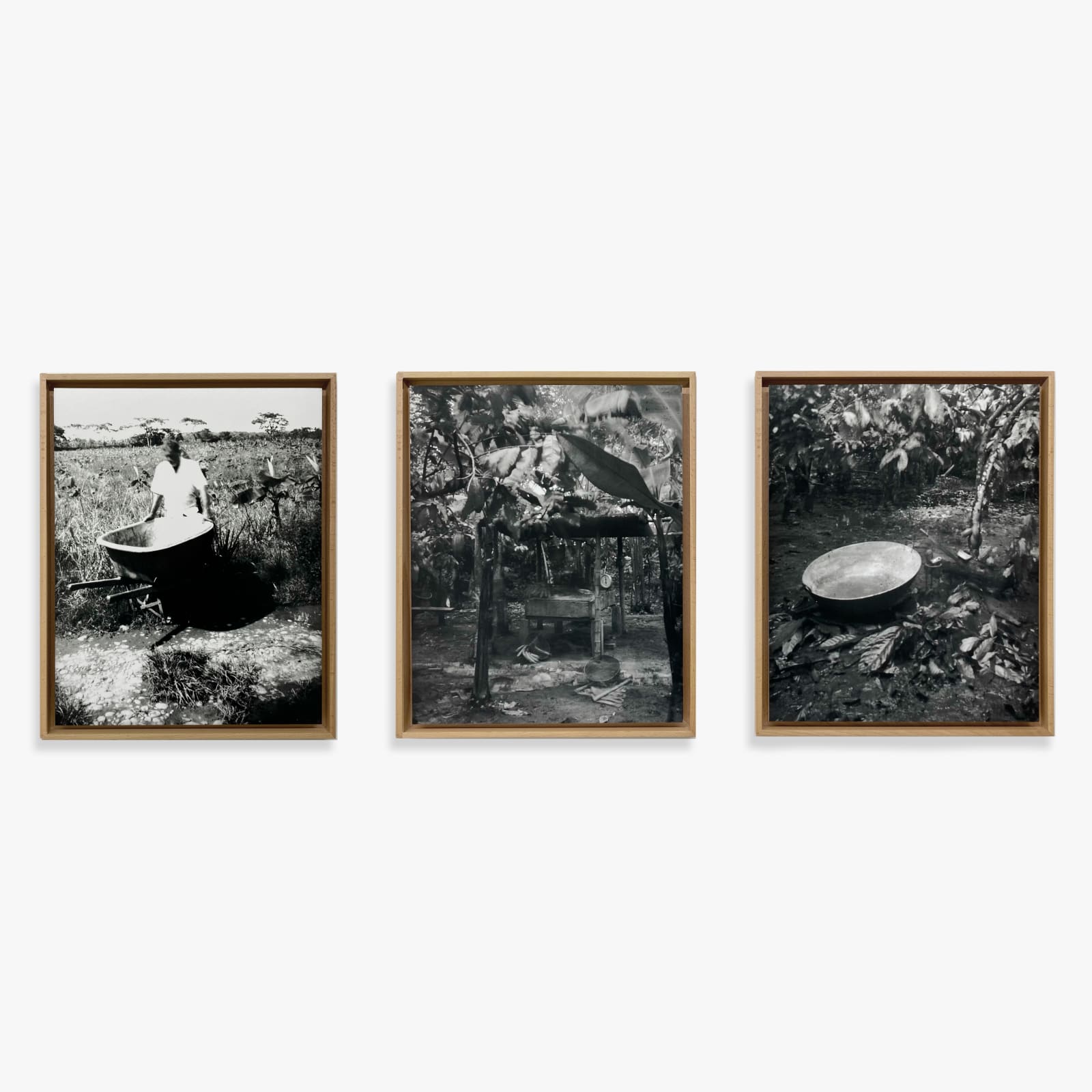 Marcos Ávila-Forero, Estenopeicas de Paisajes Subversivos. Familia Vivas-Cabuyaro, 2015