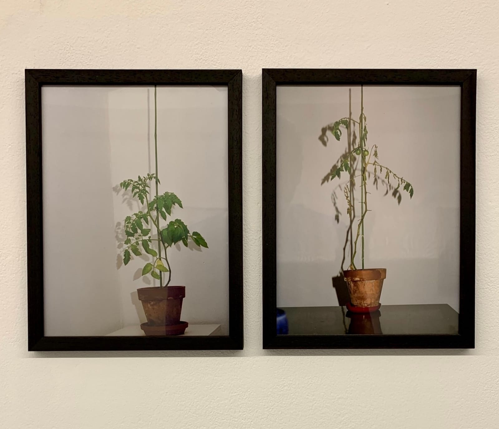 Antonio Ortega, Registre (d’ús i sentit), 1996