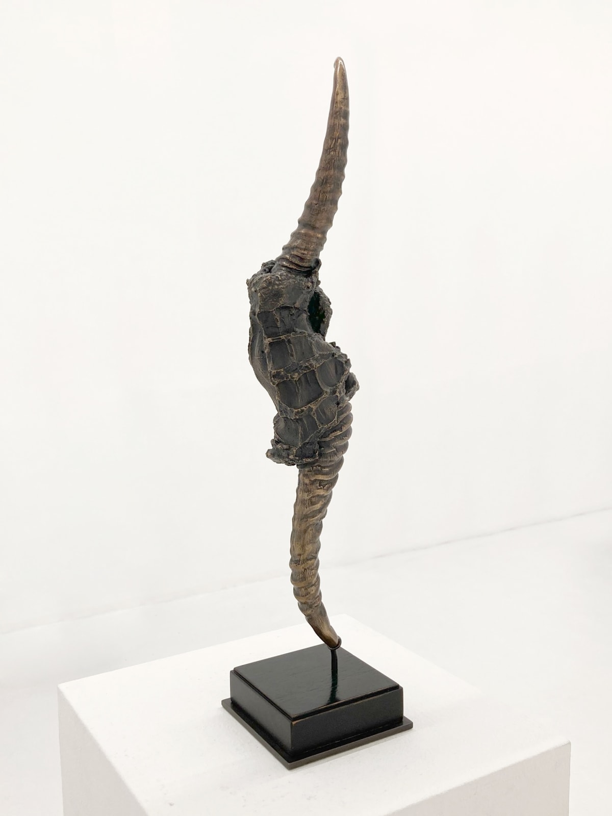 Kendell Geers, Vajra XVIII, 2012
