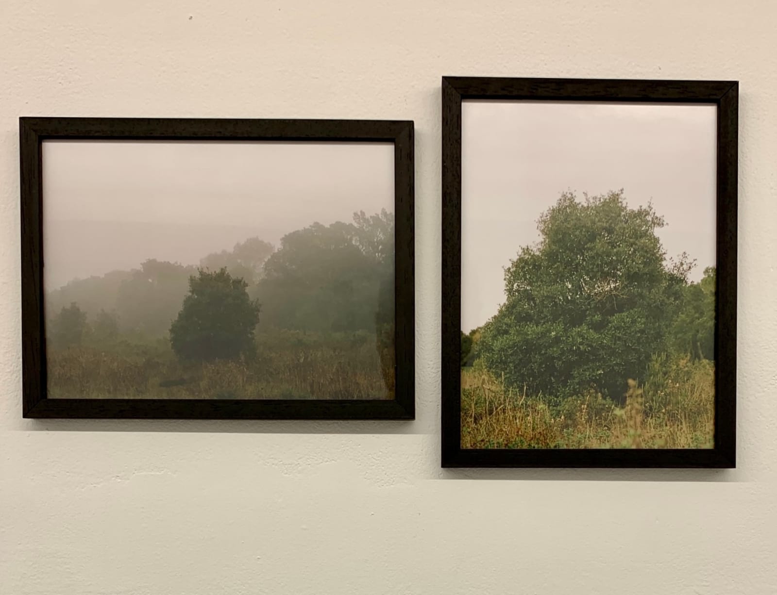 Antonio Ortega, Registre (adaptació forçada), 1997