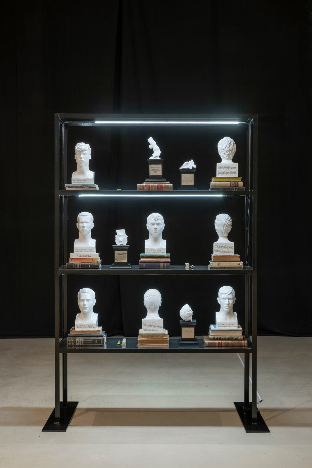 Daniel Gasol, Galería de anomalías patológicas, 2024 - 2025